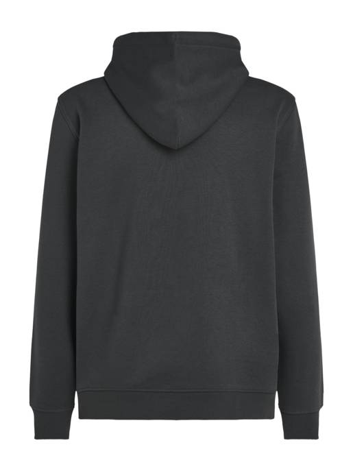 TOMMY JEANS TJM REG ESSENTIAL FLAG HOOD EXT Zeitbegrenzte Promotion