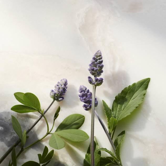 RITUALS The Ritual of Namaste Glow Anti-Ageing Day Cream Sonderangebot der Fabrik